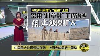 世上最长绿色生态屏障  中国最大沙漠实现3千公里“锁边合龙” | 八点最热报 01/12/2024