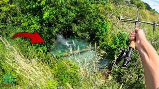 Fly Fishing Farm Fields for Trout!! (Brook Trout Conservation - WV trout fishing)