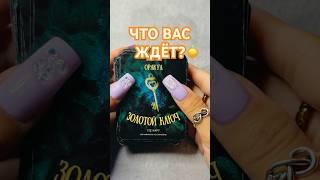  ЧТО ВАС ЖДЁТ Гадание на картах  #гадание #гаданиеонлайн #гаданиенабудущее