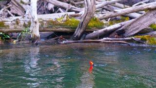 Float Fishing KING SALMON in IMPOSSIBLE to Land Areas! - (BOBBER DOWNS)