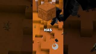The Mystery of Chiseled Blocks