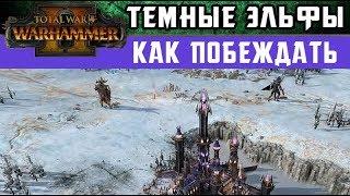  Темные Эльфы Как побеждать за них в Total War Warhammer 2 (с переводом на русский)