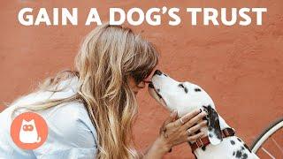 5 TIPS to GAIN a DOG'S TRUST 