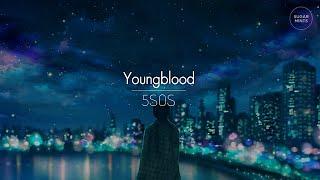 [한글번역] 5 Seconds Of Summer - Youngblood