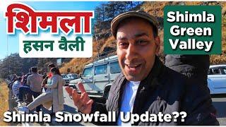 Shimla Green Valley | Shimla Snowfall Update | Shimla latest weather #shimla #shimlatouristplaces