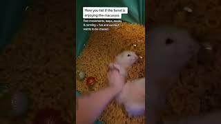 How can you tell if they like it