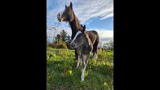 May 2024 - update from our farm