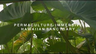 Permaculture Immersive at Hawaiian Sanctuary