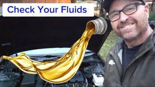 How to Check Fluids in Your Car