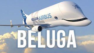 BelugaXL - L'avion le plus fou d'Airbus