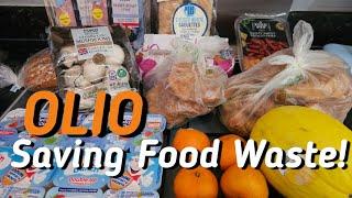 Olio Collection  Free Food  Saving Food Waste  OLIO