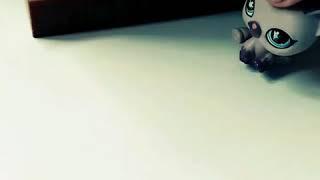 Untitled video