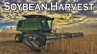 SOYBEAN HARVEST 2017 | WERNER FARMS