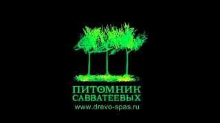 Питомник Савватеевых