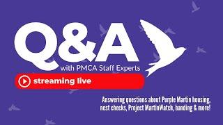 PMCA Live Q&A #3