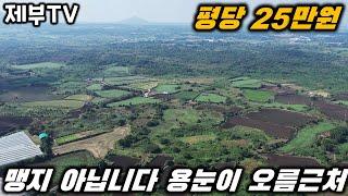 제주도 토지 매매 이런 싼 땅은 사 놓으면 돈이 됩니다~투자용 추천 토지 제주도 부동산 매물,Jeju House for sale,Korea,제주도부동산TV