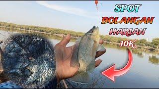 MASIH ADA CINTA NYA..‼️ Mancing Bahagia di Spot Bolangan Harian 10k