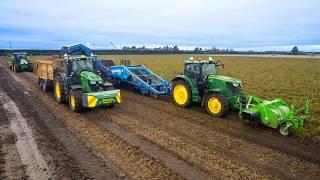 Big New Zealand Carrot Harvest - John Deere 6R 250 & 8R 410