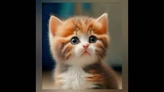 Yeh sirf song nahi, ek promise hai – forever bestie vibes #cutecat #trendingshorts #cat #singer
