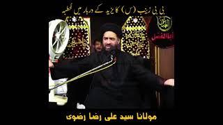 Bibi Zainab s.a. ka Yazeed ka darbar ma Khutba Allama Ali Raza Rizvi shahb