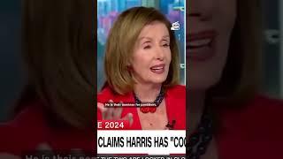 Nancy Pelosi Calls Out CNN for Platforming Trump's Childish Insults