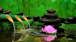 Beautiful Relaxing Music & Bamboo Water Fountain - Relaxing Spa Music Therapy for Stress Relief