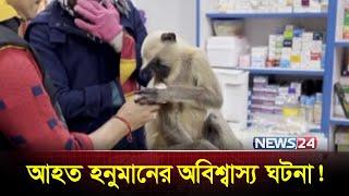 চিকিৎসা নিতে ওষুধের দোকানে হনুমান ! | Hanuman | Man vs Monkey | Viral Video | News24 Special