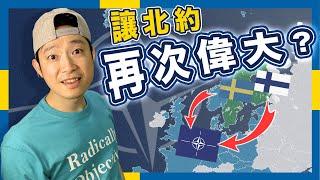 【不再中立】普京錯手推芬蘭、瑞典入北約？｜不正常人類