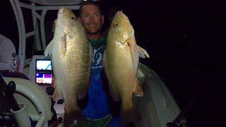 How to catch the HUGE Mangrove snappers