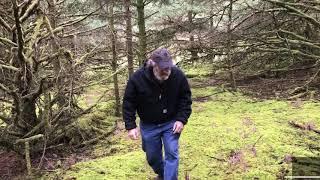 Paul encounters the purple club fungus, Alloclavaria purpurea