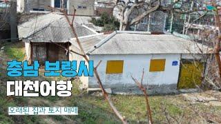 [신바람 오늘의 매물]충남 보령시 대천어항아주오래된집과 땅평수165평내놓아요