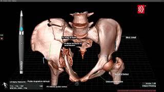 Getting Started with True3D Scholar on zSpace