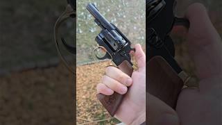 THE NEW HENRY 22LR REVOLVER 