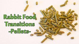 Changing Your Rabbit's Diet - Pellet Transition | Bunny Basics