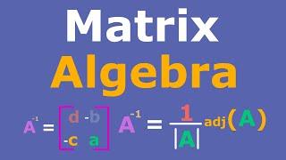 Matrix Algebra Full Course |  Operations | Gauss-Jordan | Inverses | Cramer's Rule