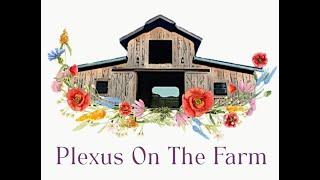 James Easling Opens the incredible Plexus on the Farm event