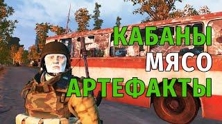 125. Кабаны, Мясо, Артефакты. Сталкер Онлайн | Stalker Online | Stay Out. RU2.