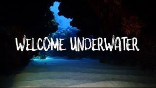 Welcome Underwater