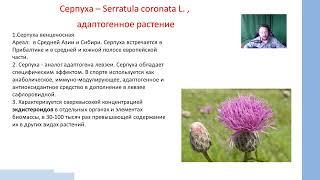 Alexander Zimin, Naturopath. Russian. Herbological Naturopathy as promising sources for de creati...