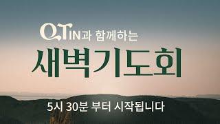 2025-06-24 (화) | 큐티인 | 잠언 30:18-33 | 작지만 지혜로운 것 | 김영규 목사 | 우리들교회 새벽기도회