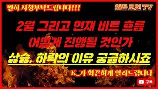 K_가 화끈하게 알려드립니다,2월말 코인 상승과 하락의 반복!!! 비트의 흐름과 영향력은?