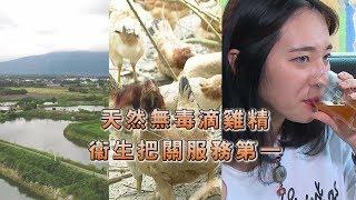 中天綜合台【點亮新台灣】洄瀾農萃滴雞精-天然無毒滴雞精 衛生把關服務第一