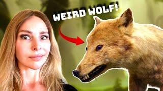 THE 5 WEIRDEST WOLVES on PLANET EARTH!