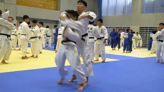 Elite College Judo Practice in Japan at Nittai University | Day 3 of The Japan Judo Camp & Tour