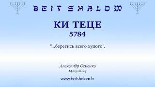 КИ ТЕЦЕ 5784. "...берегись всего худого". (Александр Огиенко 14.09.2024)