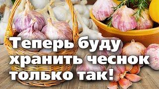 ЧЕСНОК НЕ БУДЕТ ГНИТЬ И СОХНУТЬ, ЕСЛИ ХРАНИТЬ ЭТИМ СПОСОБОМ