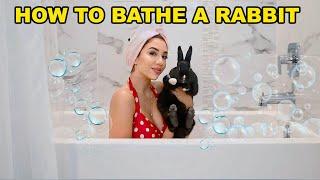 How to Properly Bathe a Rabbit