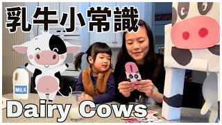 Dairy Cows Arts & Crafts in Chinese 親子手工: 乳牛  | 親子生活共學中文