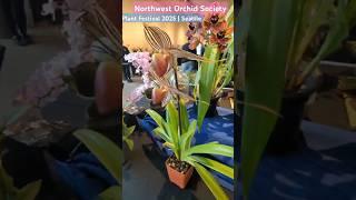 2025 Lynnwood Orchids Sale #seattle  #orchidshow