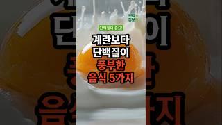 계란보다 단백질이 풍부한 음식 5가지 #건강 #건강정보 #단백질섭취